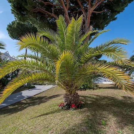 Casadelsol-marbella-slonce,piasek,szmaragdowa Woda Apartment